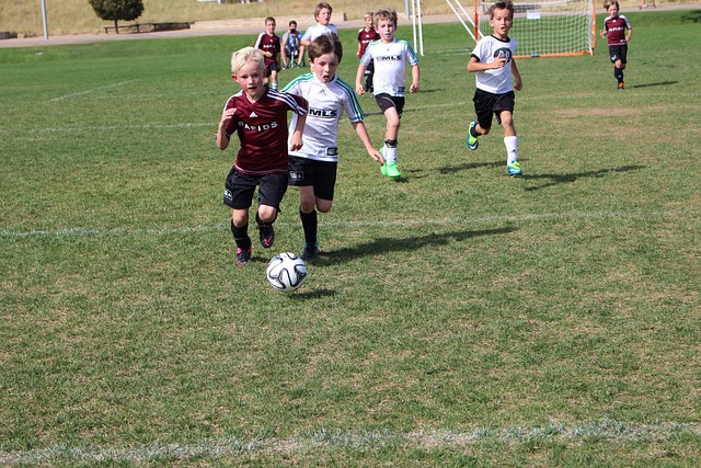 体育世预赛南美区:委内瑞拉1-2不敌巴拉圭 积分榜垫底